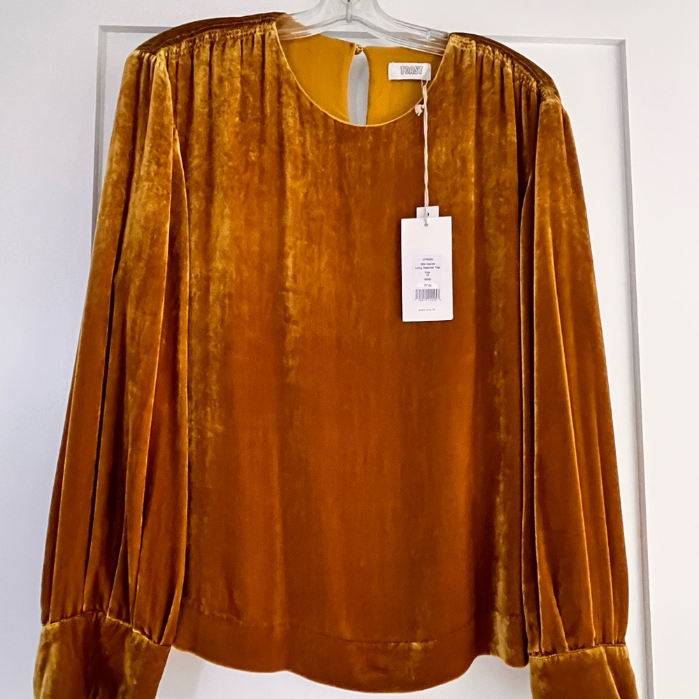 TOAST Silk Velvet Long-Sleeve Blouse - Gold